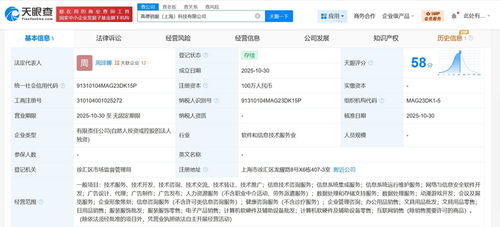 高德在上海成立销服科技公司，注册资本100万，聚焦信息技术咨询服务