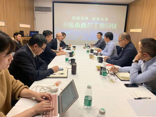 强化服务产品，打造卓越创新性科技服务机构 信息技术咨询服务的核心竞争力构建